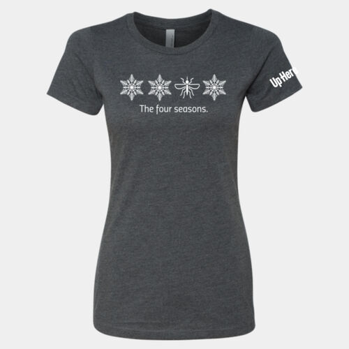 Next Level Women's Four Seasons Printed T-Shirt Thumbnail